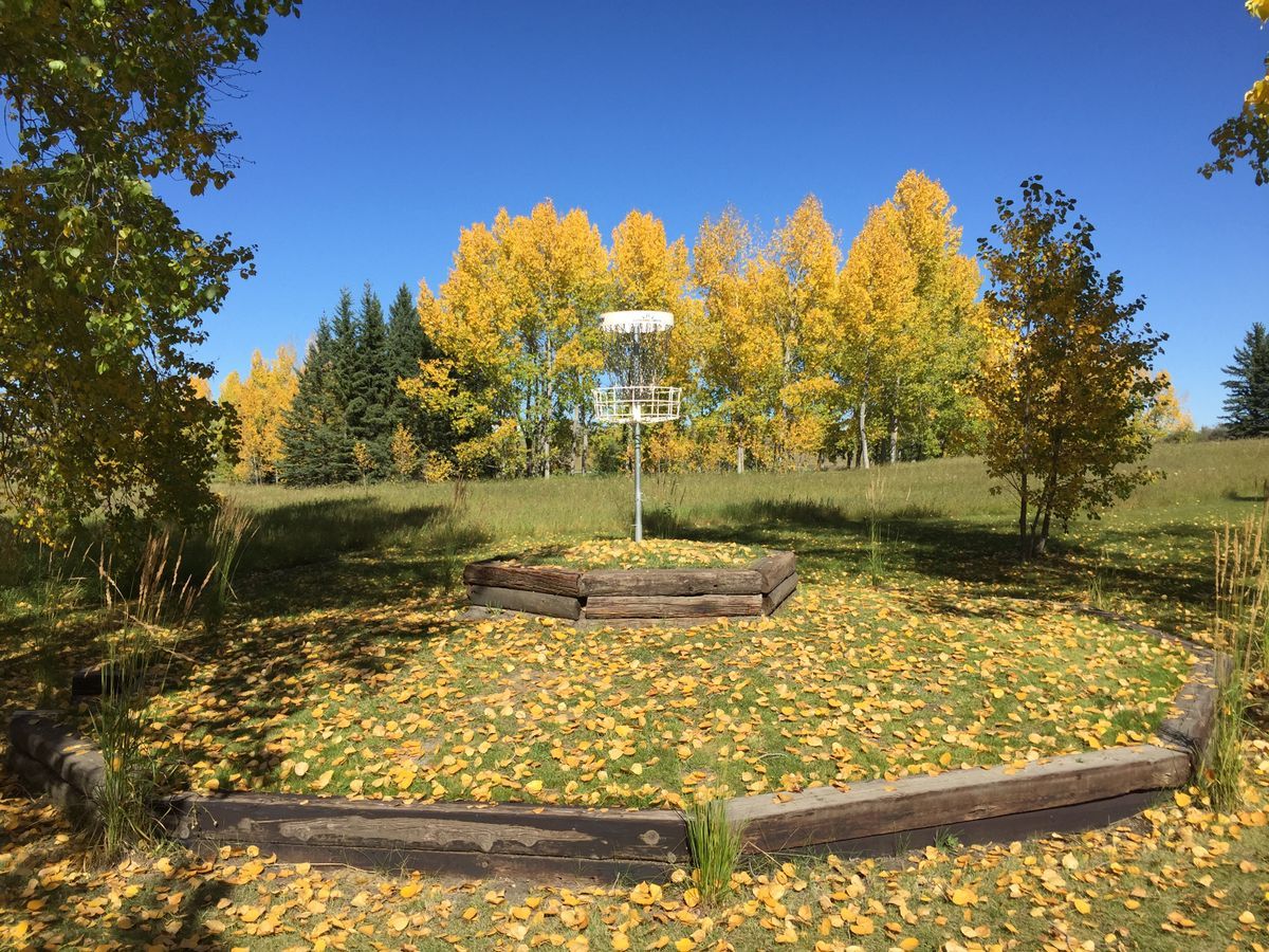 Bonavista Downs Community Disc Golf Course