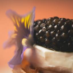 Burdock & Co