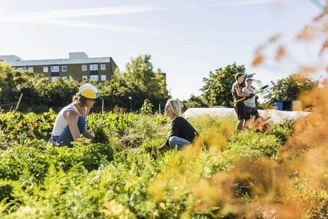 Volunteer together for an afternoon