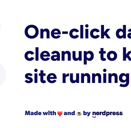 Optimize Database after Deleting Revisions