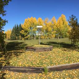 Lindsay Park Disc Golf Course