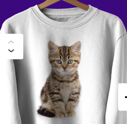 WooCommerce (built-in Analytics)