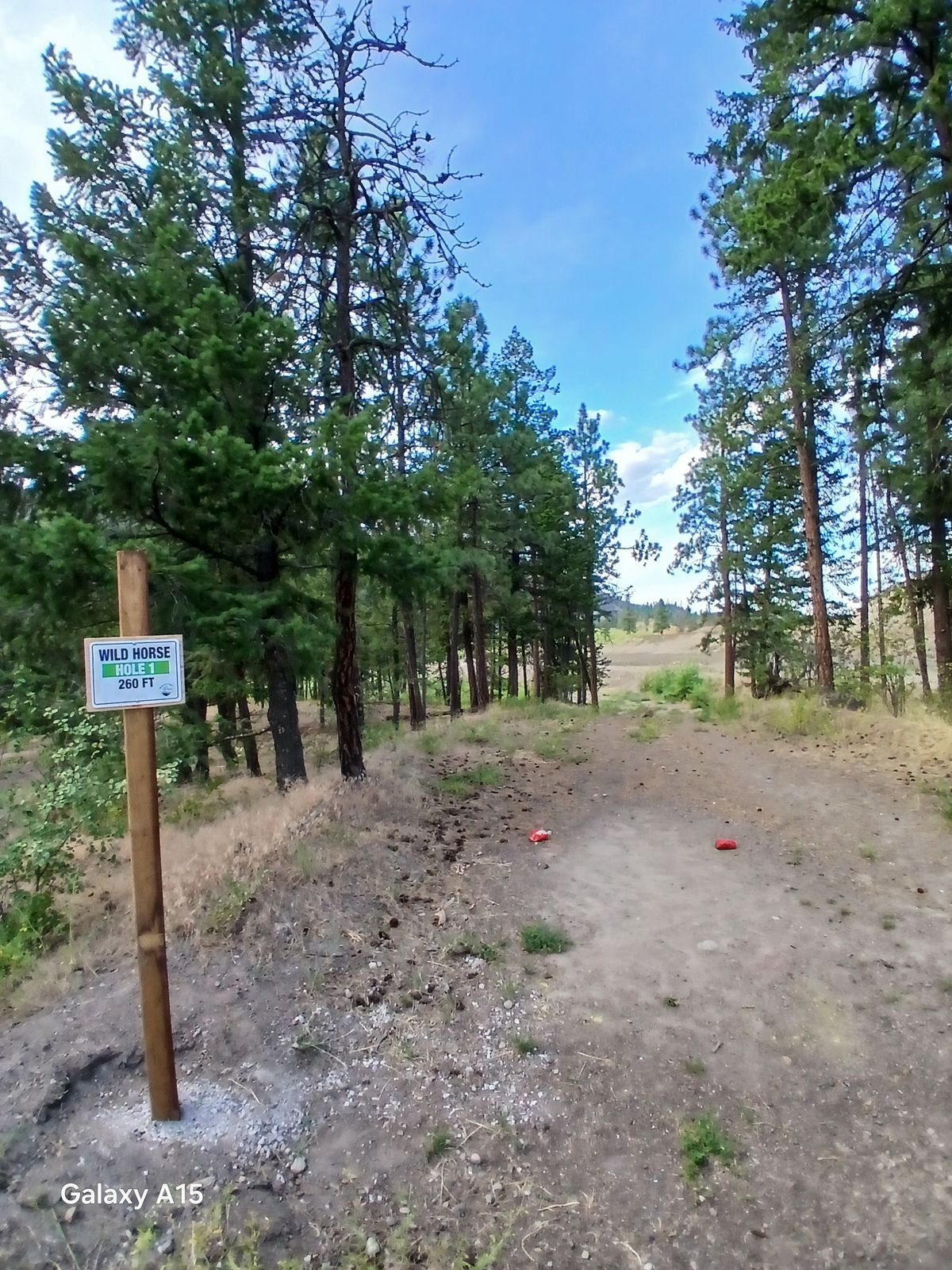 Wild-Horse Disc Golf Course (West Kelowna)